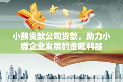 错那小额贷款公司贷款，助力小微企业发展的金融利器