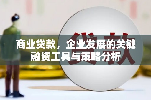 错那商业贷款，企业发展的关键融资工具与策略分析