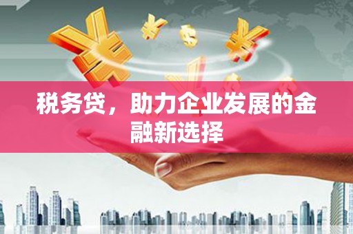 错那税务贷，助力企业发展的金融新选择