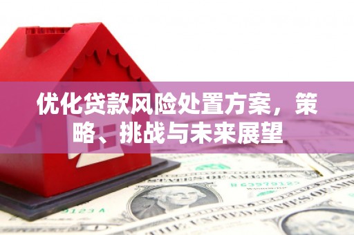 错那优化贷款风险处置方案，策略、挑战与未来展望