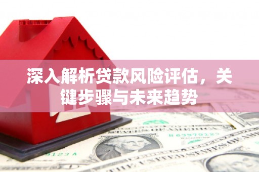 错那深入解析贷款风险评估，关键步骤与未来趋势