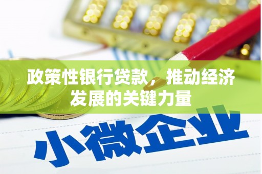 错那政策性银行贷款，推动经济发展的关键力量