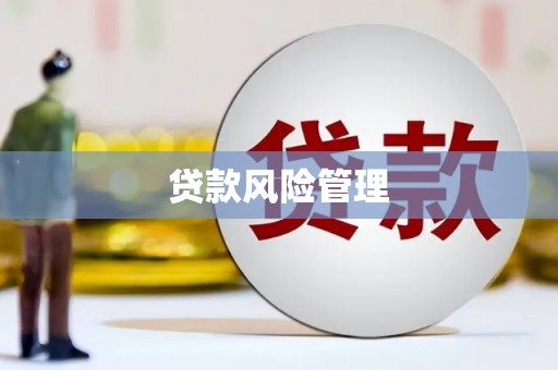 错那贷款风险管理