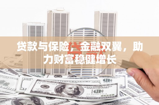 错那贷款与保险，金融双翼，助力财富稳健增长