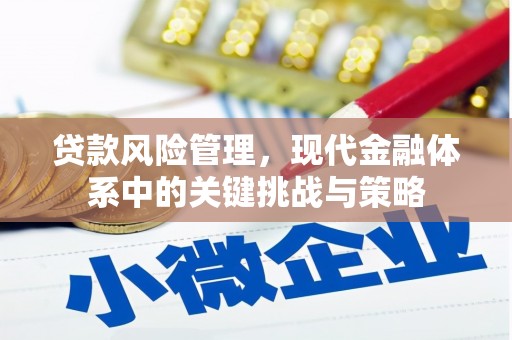 错那贷款风险管理，现代金融体系中的关键挑战与策略