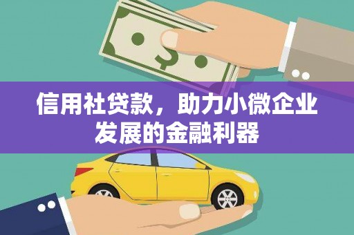 错那信用社贷款，助力小微企业发展的金融利器