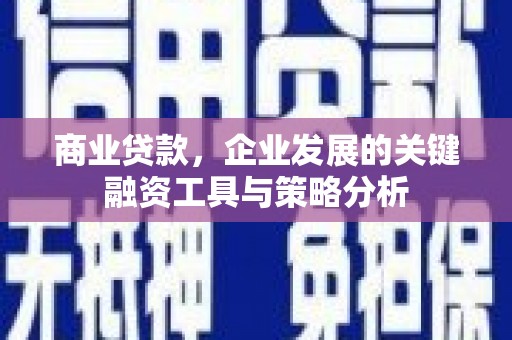 错那商业贷款，企业发展的关键融资工具与策略分析