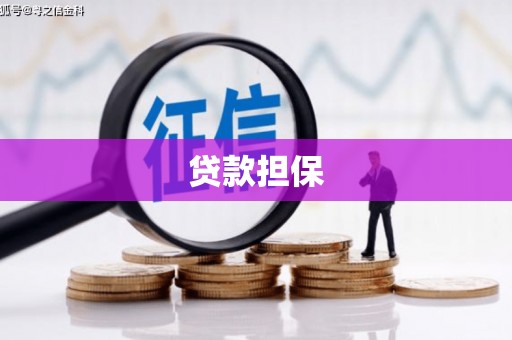 错那贷款担保