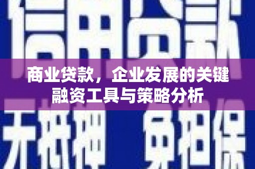错那商业贷款，企业发展的关键融资工具与策略分析