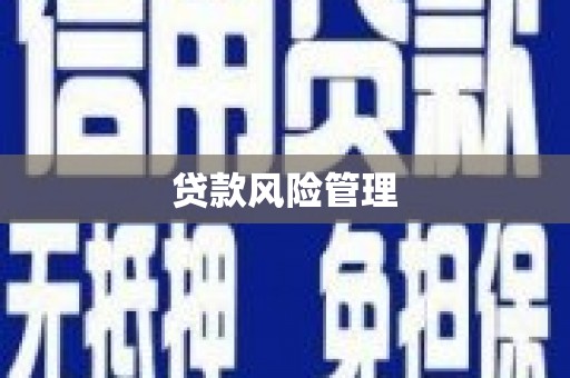 错那贷款风险管理