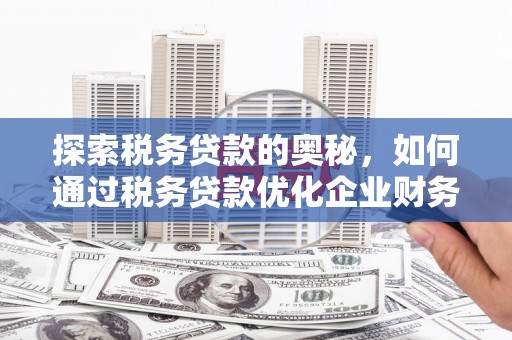 错那探索税务贷款的奥秘，如何通过税务贷款优化企业财务
