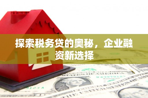 错那探索税务贷的奥秘，企业融资新选择