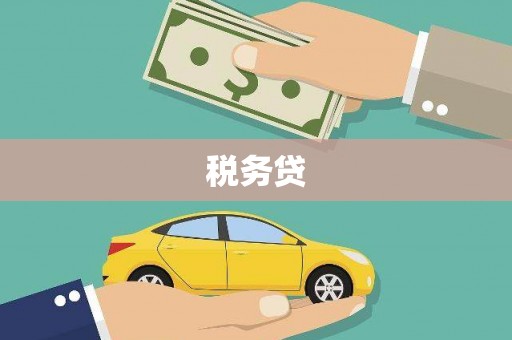 错那税务贷