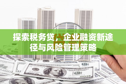 错那探索税务贷，企业融资新途径与风险管理策略