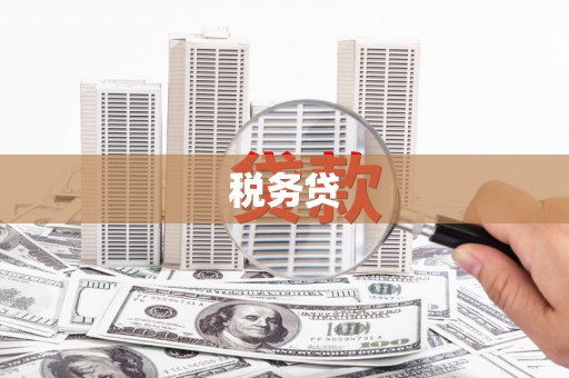 错那税务贷