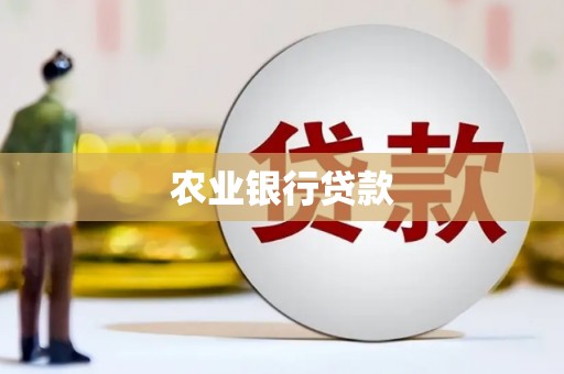 错那农业银行贷款