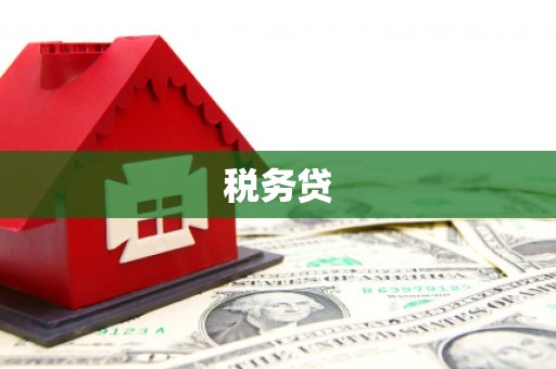 错那税务贷