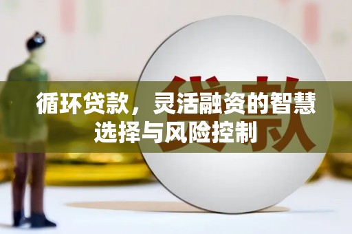 错那循环贷款，灵活融资的智慧选择与风险控制