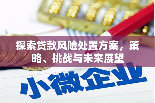 错那探索贷款风险处置方案，策略、挑战与未来展望