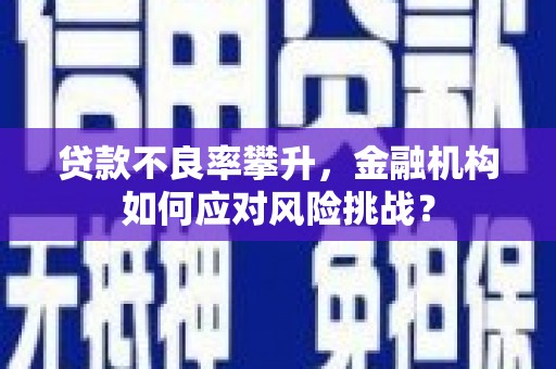 错那贷款不良率攀升，金融机构如何应对风险挑战？