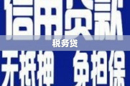 错那税务贷