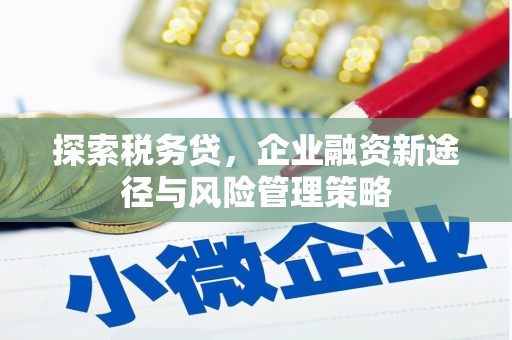 错那探索税务贷，企业融资新途径与风险管理策略