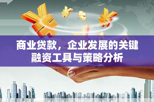 错那商业贷款，企业发展的关键融资工具与策略分析