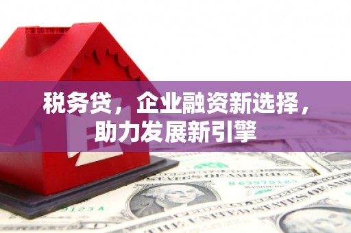 错那税务贷，企业融资新选择，助力发展新引擎
