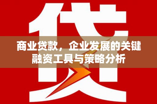 错那商业贷款，企业发展的关键融资工具与策略分析