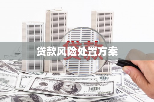错那贷款风险处置方案