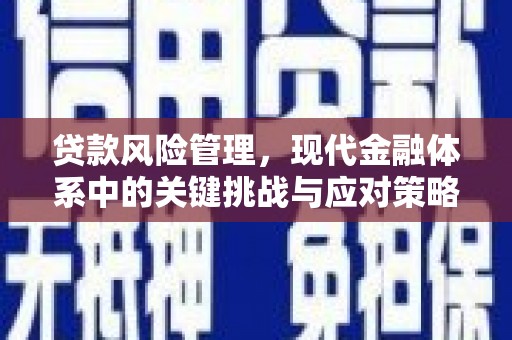错那贷款风险管理，现代金融体系中的关键挑战与应对策略