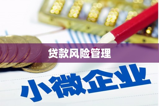 错那贷款风险管理