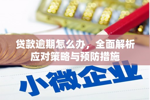 错那贷款逾期怎么办，全面解析应对策略与预防措施