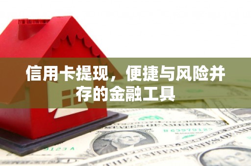 错那信用卡提现，便捷与风险并存的金融工具