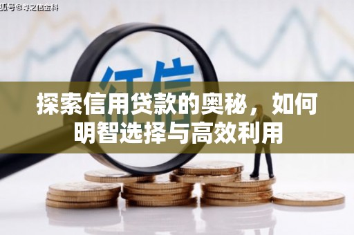 错那探索信用贷款的奥秘，如何明智选择与高效利用