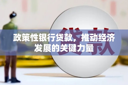错那政策性银行贷款，推动经济发展的关键力量