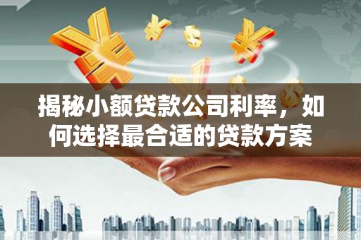 错那揭秘小额贷款公司利率，如何选择最合适的贷款方案