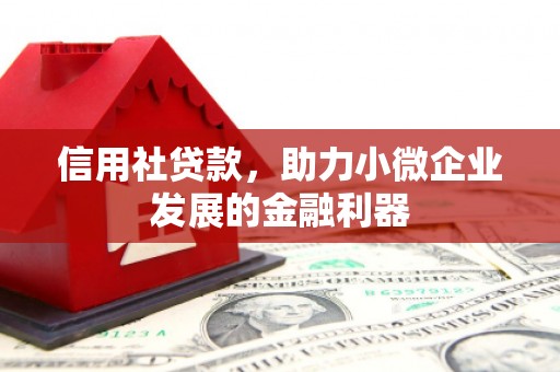 错那信用社贷款，助力小微企业发展的金融利器