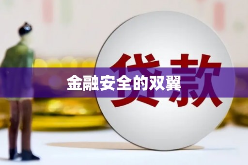 错那金融安全的双翼