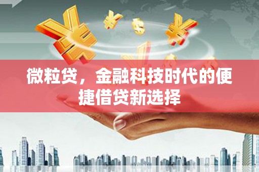错那微粒贷，金融科技时代的便捷借贷新选择