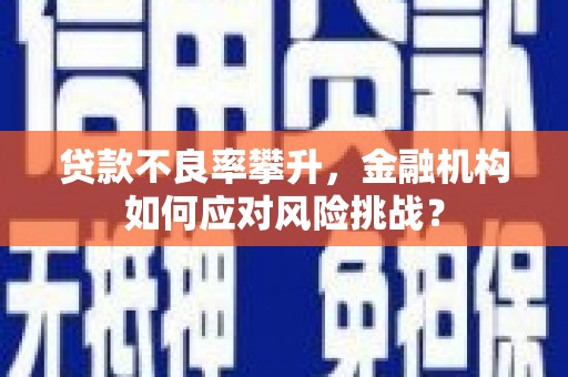 错那贷款不良率攀升，金融机构如何应对风险挑战？