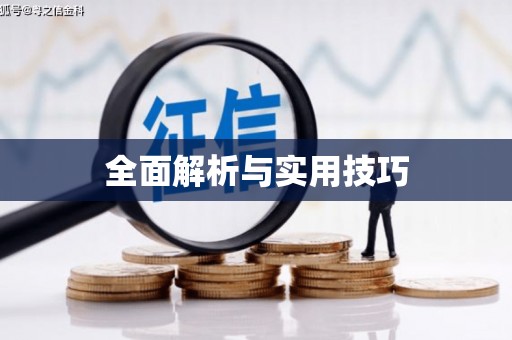 错那全面解析与实用技巧