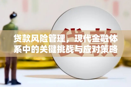 错那贷款风险管理，现代金融体系中的关键挑战与应对策略