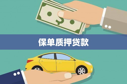错那保单质押贷款