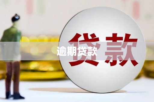 错那逾期贷款