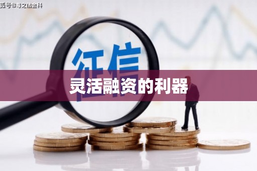 错那灵活融资的利器