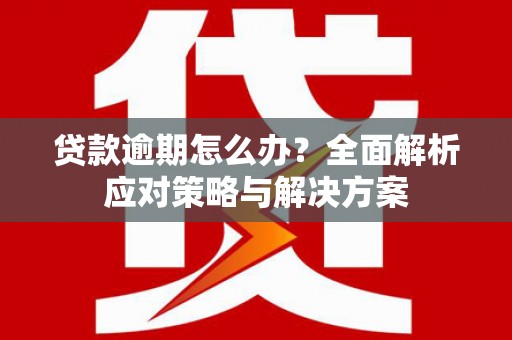 错那贷款逾期怎么办？全面解析应对策略与解决方案