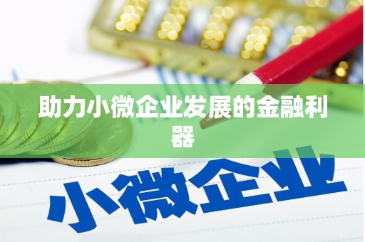 错那助力小微企业发展的金融利器