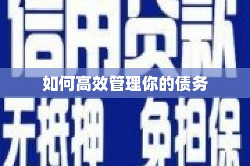 错那如何高效管理你的债务