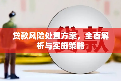 错那贷款风险处置方案，全面解析与实施策略